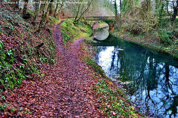 Canal in the Cotswolds Picture Board by Paula J James