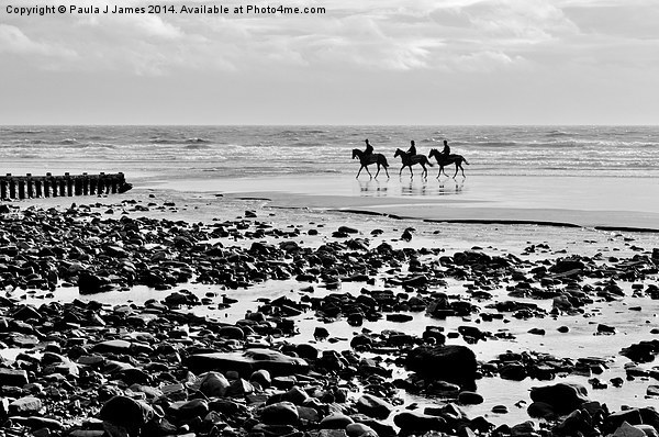 Horses on Amroth Beach Picture Board by Paula J James