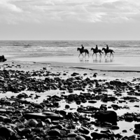 Buy canvas prints of Horses on Amroth Beach by Paula J James