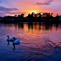 Buy canvas prints of Roath Park at Sunset by Paula J James