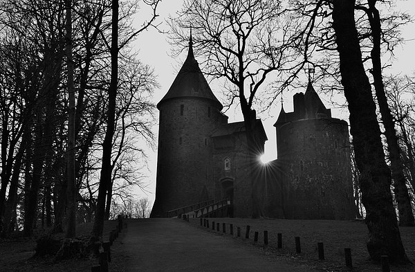 Castell Coch Picture Board by Paula J James