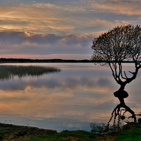 Buy canvas prints of Kenfig Nature Reserve by Paula J James