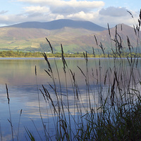 Buy canvas prints of  Bassenthwaite Lake with Skiddaw by JEAN FITZHUGH