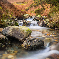 Buy canvas prints of A View To Causey Pike by Peter Carroll