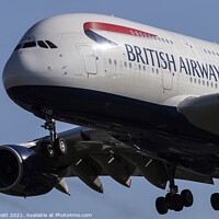 Buy canvas prints of British Airways Airbus A380-841        by David Pyatt