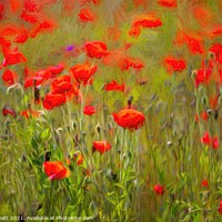 Buy canvas prints of Poppies Summer Day Art  by David Pyatt