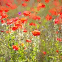 Buy canvas prints of Poppies Art Abstract  by David Pyatt