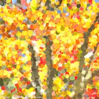 Buy canvas prints of  Autumn Colours Sleepy Hollow Art by David Pyatt