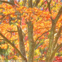 Buy canvas prints of New York Autumnal Art  by David Pyatt
