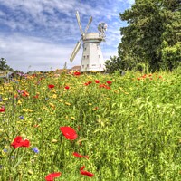 Buy canvas prints of Summer Windmill by David Pyatt