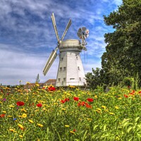Buy canvas prints of Summer Windmill Poppies  by David Pyatt