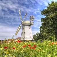 Buy canvas prints of Windmill Meadow by David Pyatt