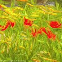 Buy canvas prints of Poppy Abstract Art by David Pyatt
