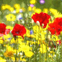 Buy canvas prints of Poppy Meadow Art by David Pyatt