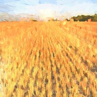 Buy canvas prints of Summer Harvest Art by David Pyatt