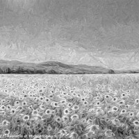 Buy canvas prints of Sunflower Panorama Art by David Pyatt