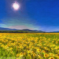 Buy canvas prints of Sunflower Field Of Art      by David Pyatt