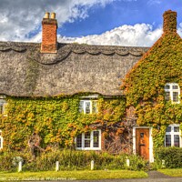 Buy canvas prints of Thatched Cottage Summer by David Pyatt