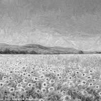 Buy canvas prints of Sunflowers In Monochrome  by David Pyatt