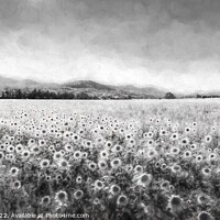 Buy canvas prints of Sunflower Dream Vista  by David Pyatt