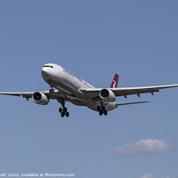 Buy canvas prints of  Turkish Airlines Airbus A330 by David Pyatt