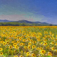 Buy canvas prints of Sunflower Dreams Art  by David Pyatt