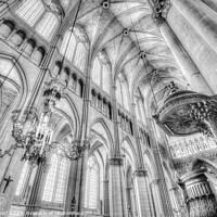 Buy canvas prints of Reims Notre Dame Cathedral Infrared by David Pyatt