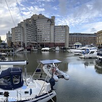 Buy canvas prints of St Katherines Dock Panorama by David Pyatt