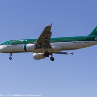 Buy canvas prints of Aer Lingus A320-214   by David Pyatt