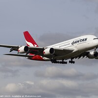 Buy canvas prints of Qantas Airbus A380-842    by David Pyatt