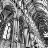 Buy canvas prints of Notre Dame Cathedral Reims   by David Pyatt