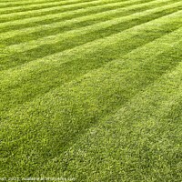 Buy canvas prints of Striped Lawn Abstract by David Pyatt