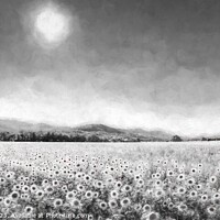 Buy canvas prints of Sunflower Infrared Panorama by David Pyatt