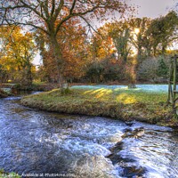 Buy canvas prints of River Bovey Dartmoor by David Pyatt