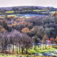 Buy canvas prints of Dartmoor Hills Frosty Morning  by David Pyatt