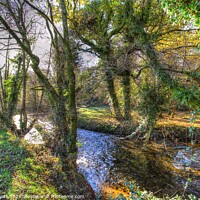 Buy canvas prints of Ambling River Bovey Dartmoor by David Pyatt