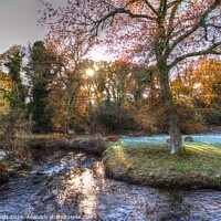 Buy canvas prints of River Bovey Dartmoor Winter  by David Pyatt
