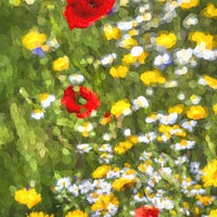 Buy canvas prints of Meadows Of Summer Art by David Pyatt