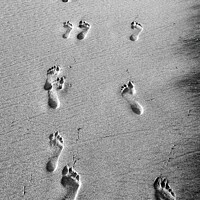 Buy canvas prints of Footprints Through Time by David Pyatt