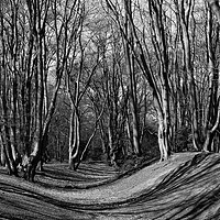 Buy canvas prints of Ambresbury Banks Bronze Age fortification by David Pyatt