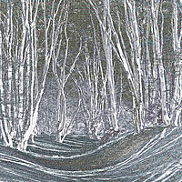 Buy canvas prints of artistic tree art by David Pyatt