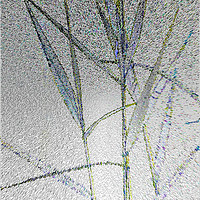 Buy canvas prints of Water Reed Digital art by David Pyatt