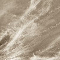Buy canvas prints of Sepia sky by David Pyatt