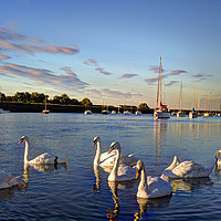 Buy canvas prints of The River Crouch Essex by David Pyatt
