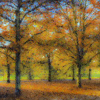 Buy canvas prints of Greenwich Park Autumn Art by David Pyatt