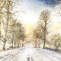 Buy canvas prints of Greenwich Park London Art by David Pyatt