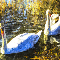 Buy canvas prints of Swan Art by David Pyatt