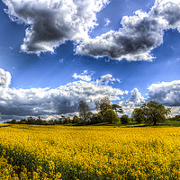 Buy canvas prints of The Summer Farm by David Pyatt