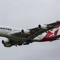 Buy canvas prints of Qantas Airbus A380 by David Pyatt