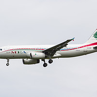 Buy canvas prints of Middle Eastern Airlines Airbus by David Pyatt
